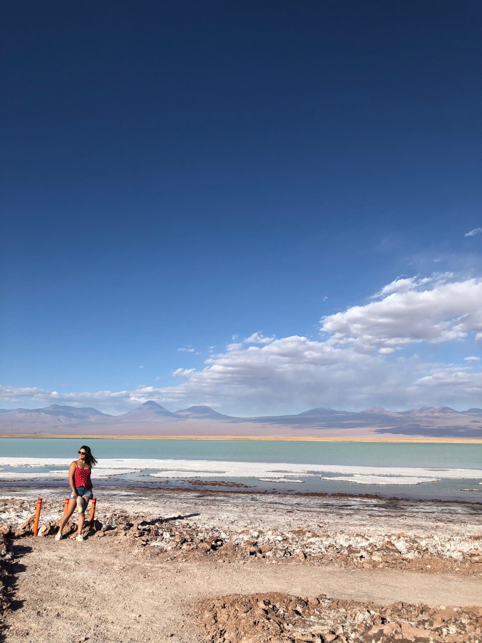 Tour Laguna Cejar » Deyd no Atacama